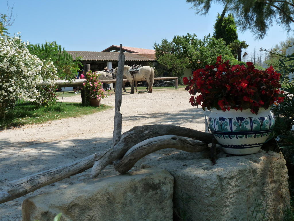 Bergerie D'Alivon En Camargue Bed & Breakfast Albaron Eksteriør bilde